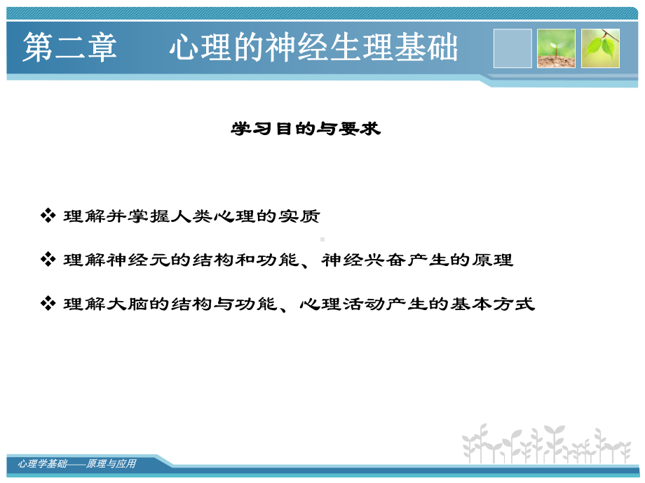 第二章心理的神经生理基础名师编辑课件.ppt_第2页