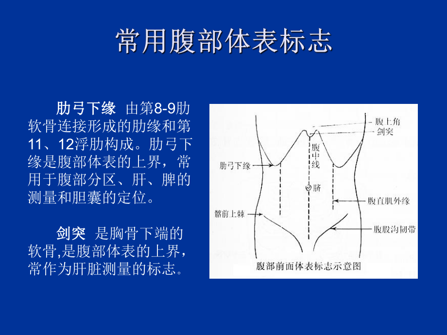 （管理资料）腹部体格检查详解汇编课件.ppt_第2页