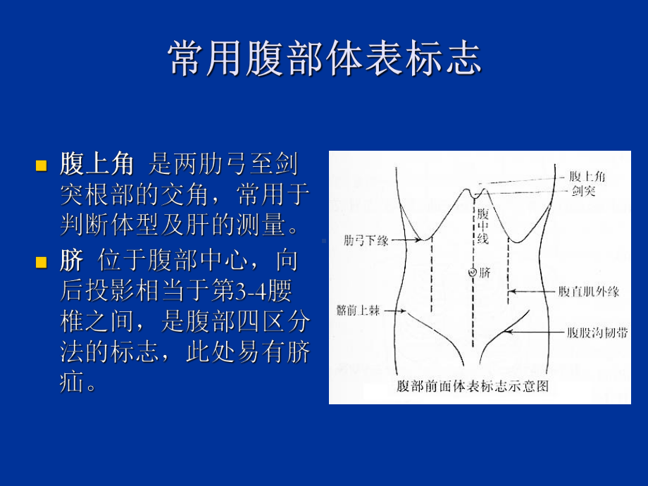 （管理资料）腹部体格检查详解汇编课件.ppt_第3页