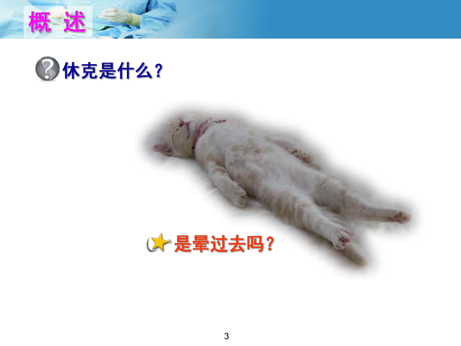 病理生理休克学习课件.ppt_第3页