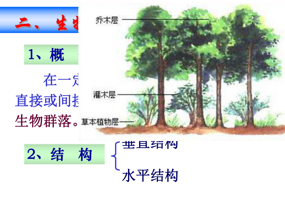 第二节-种群与生物群落课件.ppt_第2页