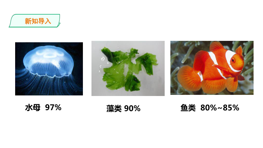 （新教材人教版生物）细胞中的无机物教学课件1.ppt_第2页