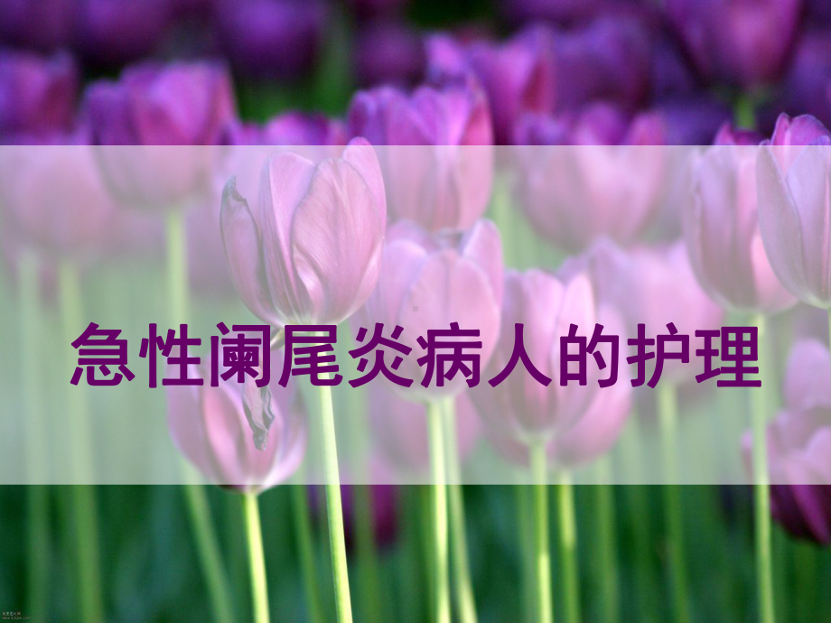 急性阑尾炎病人的护理-专课件.ppt_第1页