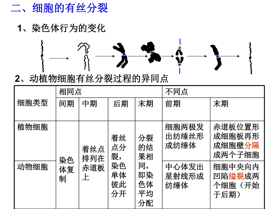 专题三细胞的生命历程课件.ppt_第3页