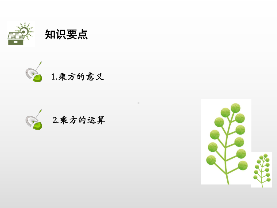 19年秋北师大版七年级数学上册讲解课件：2.9有理数的乘方(共17张PPT).pptx_第2页