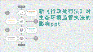 新《行政处罚法》对生态环境监管执法的影响完整课件.pptx