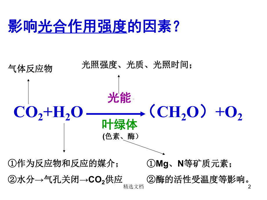 影响光合作用的因素及应用一轮复习复习课件.ppt_第2页