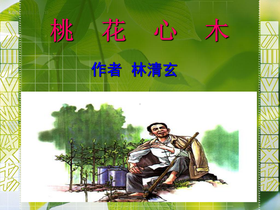 桃花心木课件.ppt_第1页