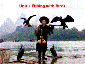 沪教课标八下Unit-3-Fishing-with-Birds2课件.ppt