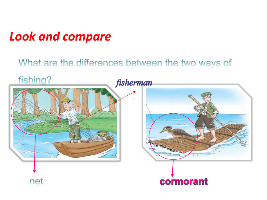 沪教课标八下Unit-3-Fishing-with-Birds2课件.ppt_第2页