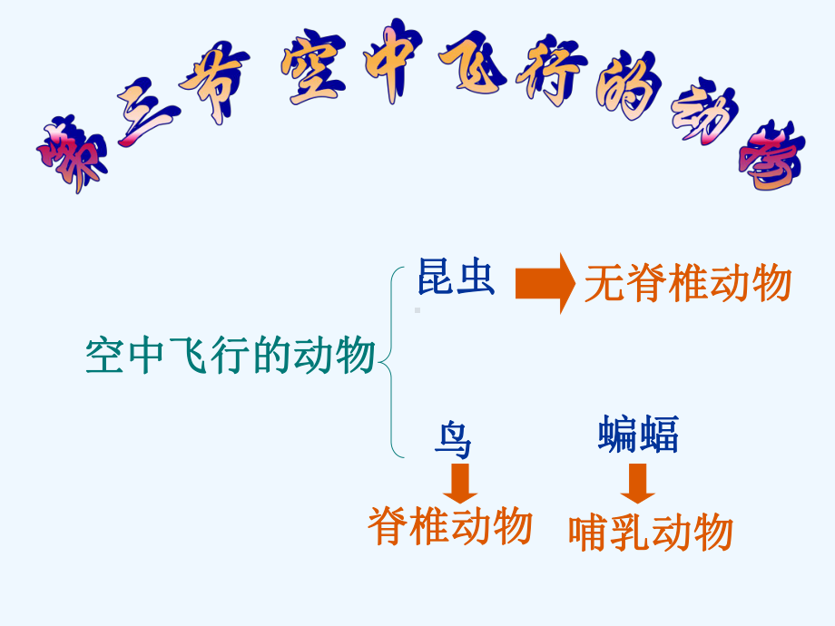 空中飞行的动物鸟类课件.ppt_第1页