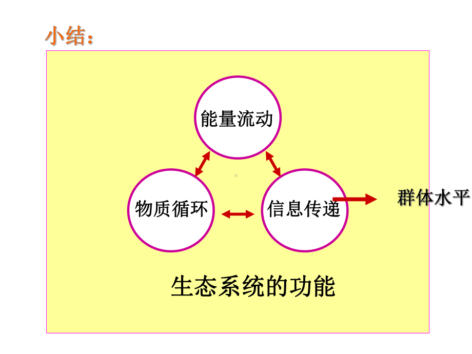 生态系统的功能物质循环信息传递能量流动小结群体水平课件.ppt_第2页