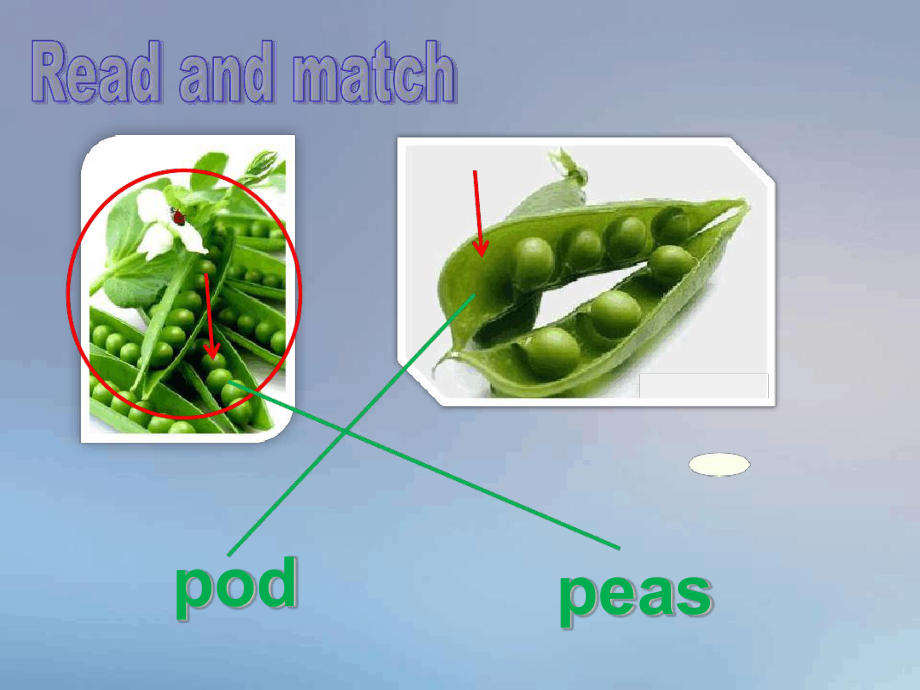 六年级下册英语课件-Unit-12-The-five-peas-课时2∣沪教牛津版三起-.ppt（纯ppt,可能不含音视频素材）_第2页