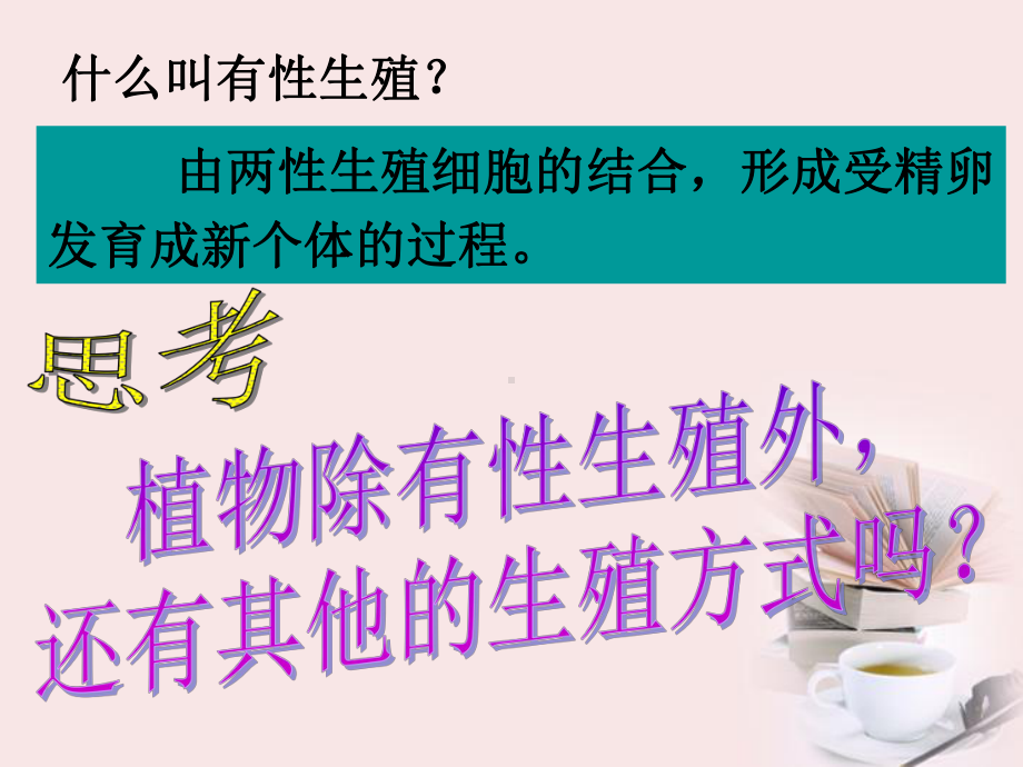 浙江省桐乡三中七年级科学下册《植物生殖方式的多样性(二)》课件-浙教版.ppt_第3页