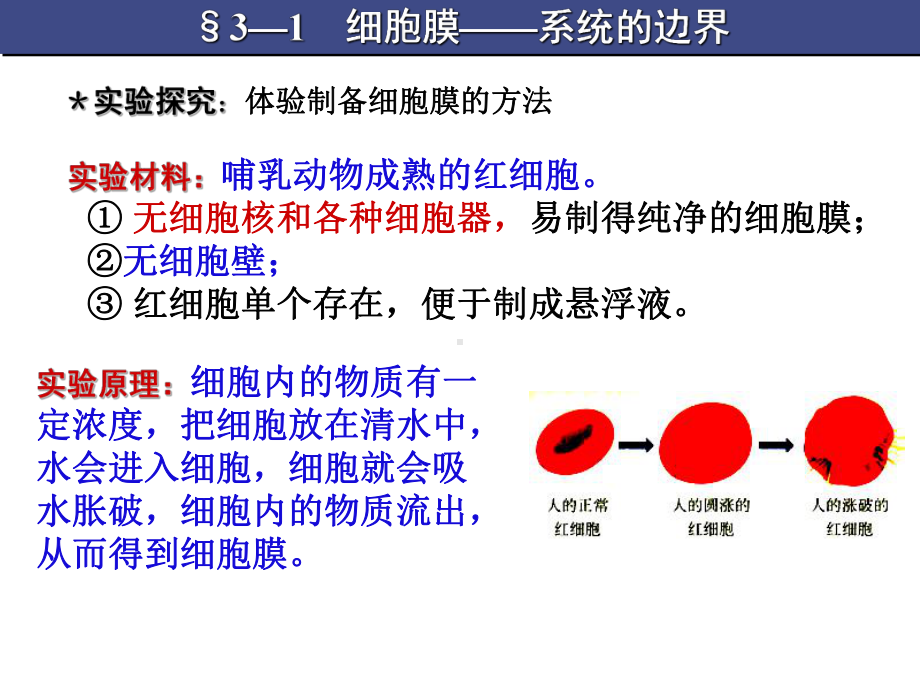 细胞膜-系统的边界(赛课)要点课件.ppt_第2页