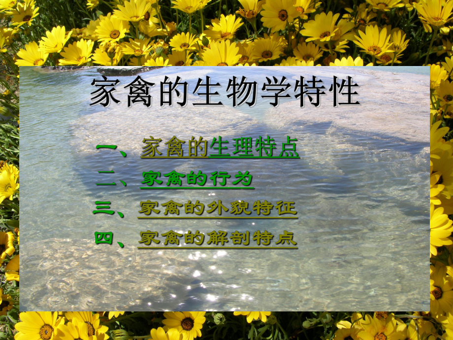 家禽的生物学特性课件.ppt_第2页