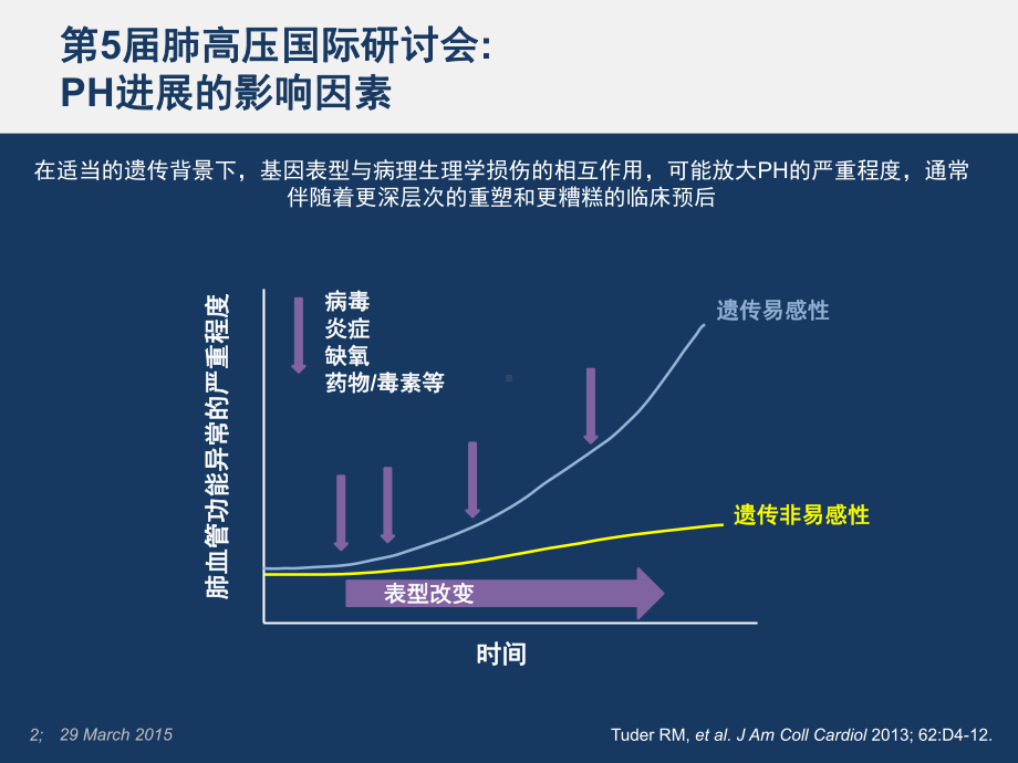 肺动脉高压研究进展教学课件.pptx_第2页