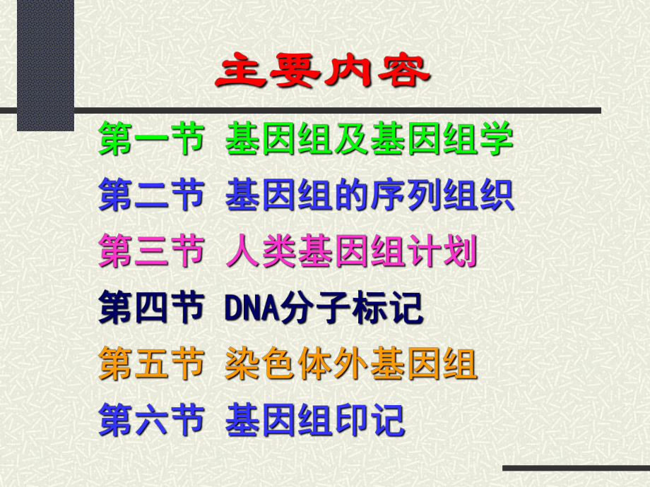 动物遗传学基因组水平的遗传课件.pptx_第1页