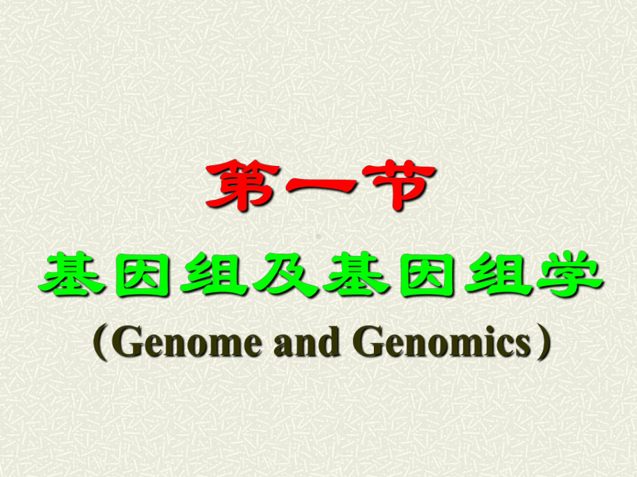 动物遗传学基因组水平的遗传课件.pptx_第2页