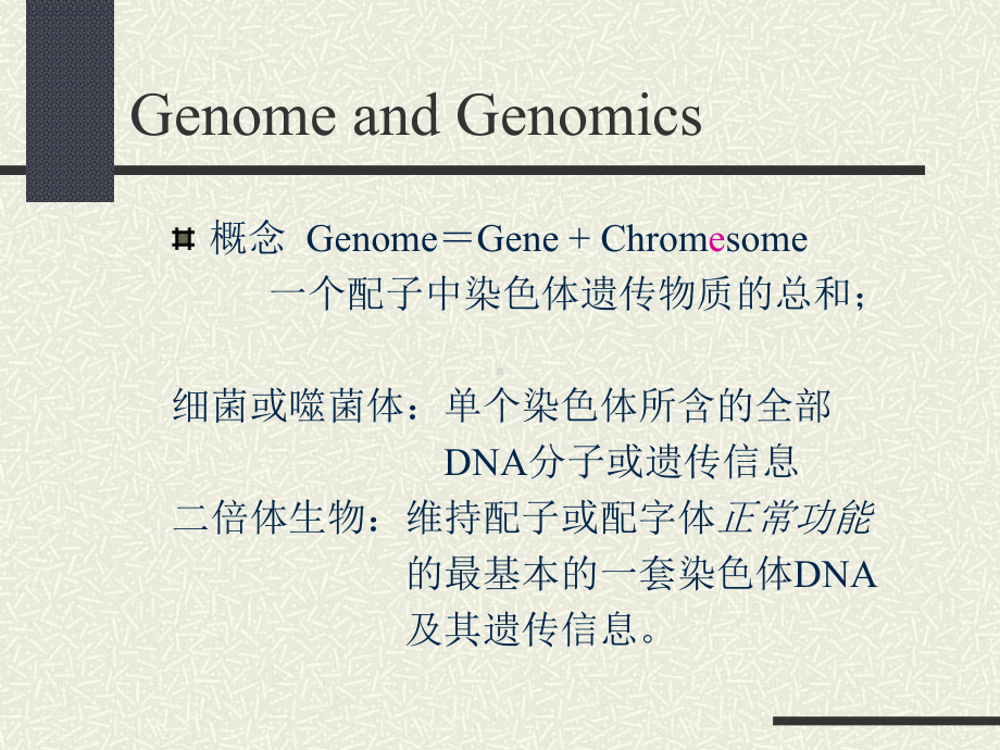 动物遗传学基因组水平的遗传课件.pptx_第3页