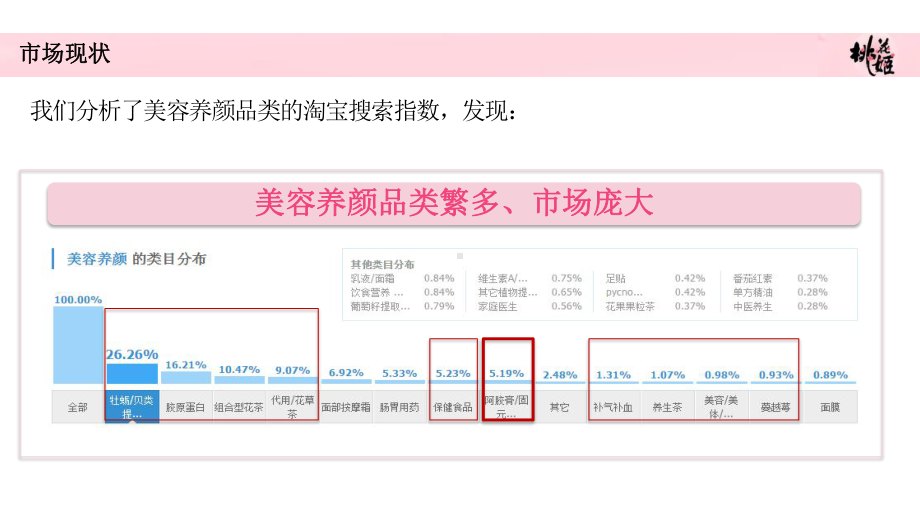 桃花姬年度传播方案-0121shan)课件.pptx_第3页