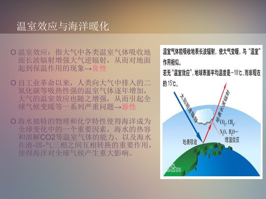 海洋暖化对海洋生物的影响方案.ppt_第3页