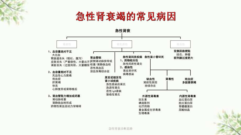 急性肾衰诊断思路课件.ppt_第3页