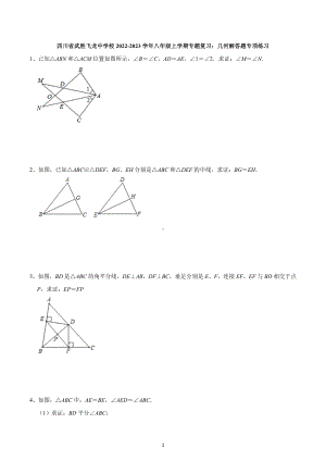 四川省广安市武胜县飞龙中学校2022-2023学年八年级上学期期末专题复习：几何解答题专项练习.docx
