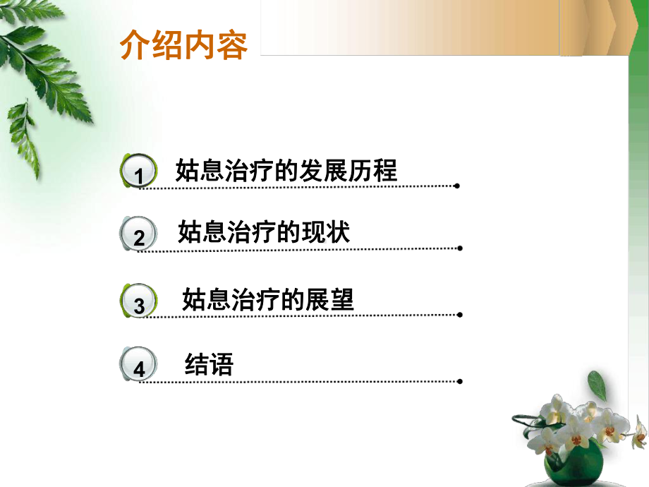 恶性肿瘤的姑息治疗课件.ppt_第2页