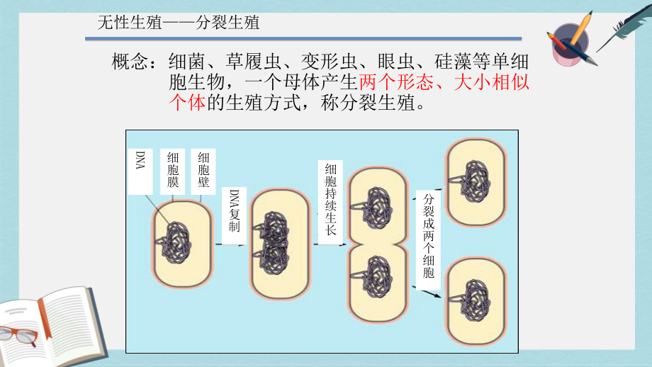 沪科版高中生命科学第二册71《生殖和生命的延续》课件2.ppt_第3页