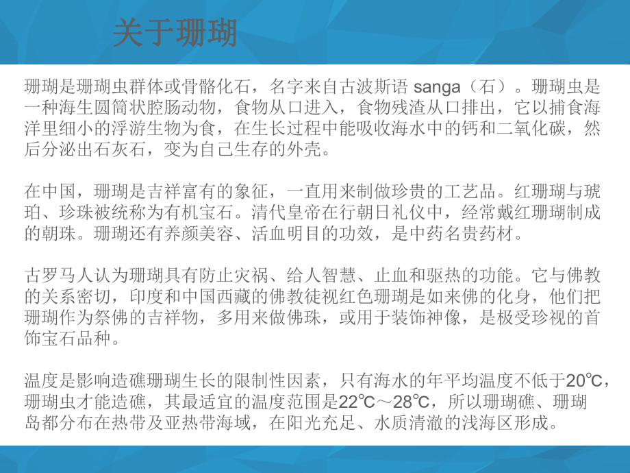 二年级上册美术课外探索B班课件-珊瑚海(共26张PPT)-全国通用.pptx_第2页