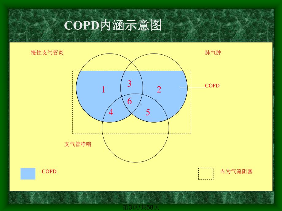 慢性阻塞性肺部疾病全球倡议及新的课件.pptx_第3页