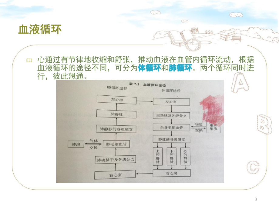 急性心衰患者的急救与护理课件.pptx_第3页