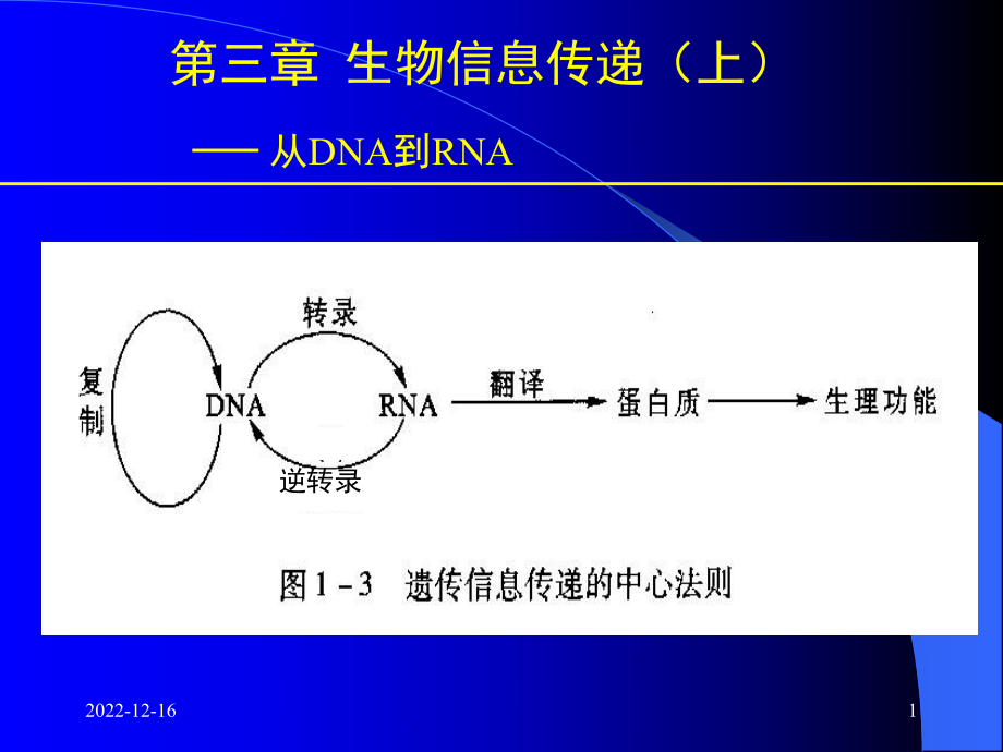 第三章章节-生物信息传递(上)-从DNA到RNA资料课件.ppt_第1页