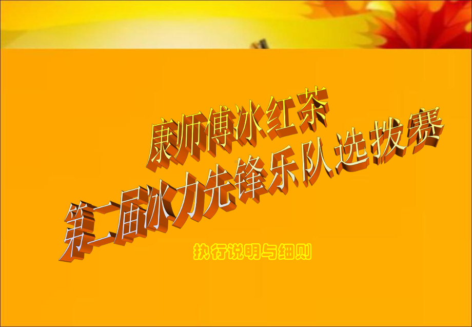 执行说明与细则课件.ppt_第1页