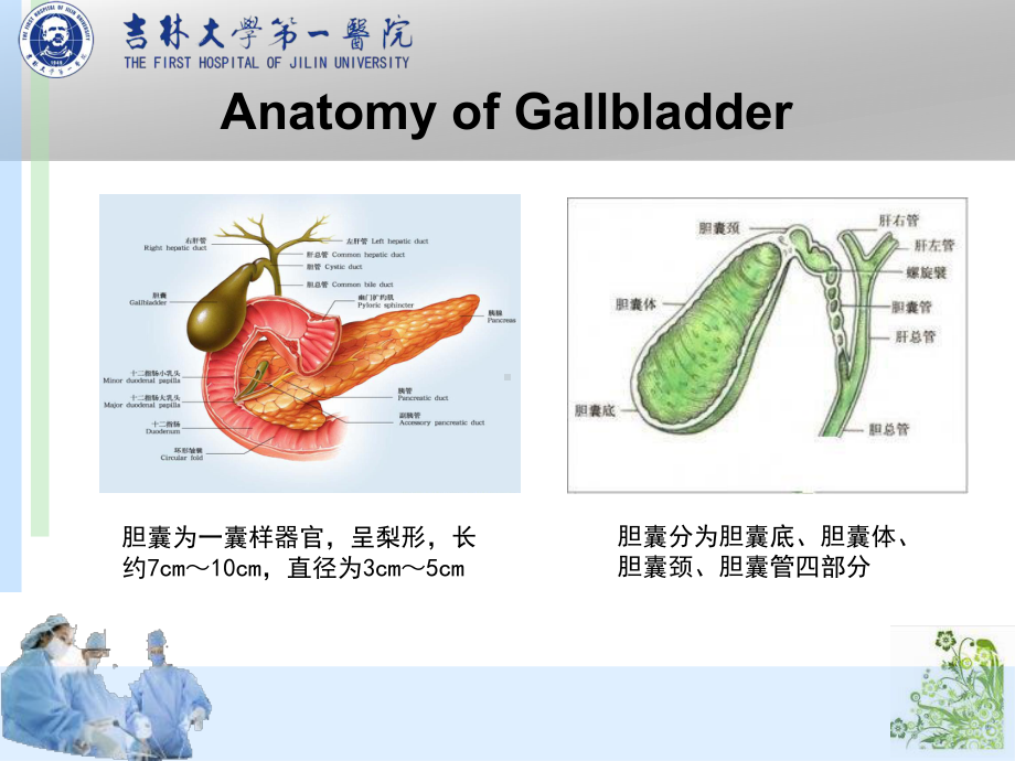 急性胆囊炎-讲课比赛课件.ppt_第3页