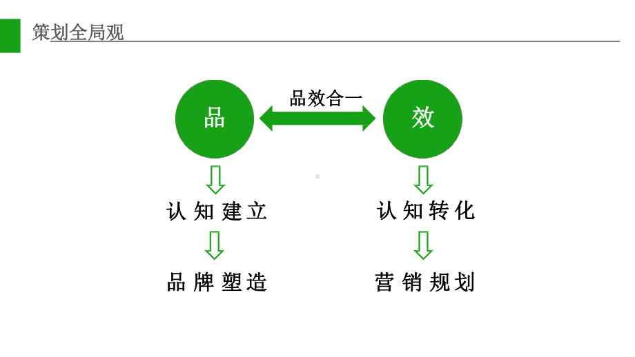 大健康保健产品营销策划方案.pptx_第2页