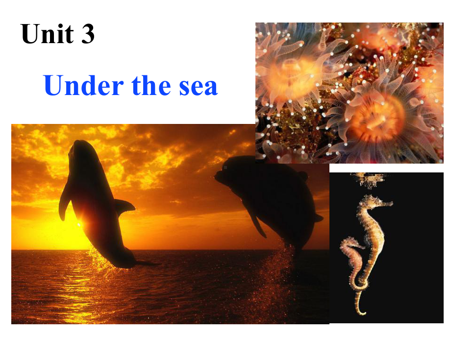 人教新课标英语选修7课件：Unit-3-Under-the-sea-Grammar-.ppt（纯ppt,可能不含音视频素材）_第2页