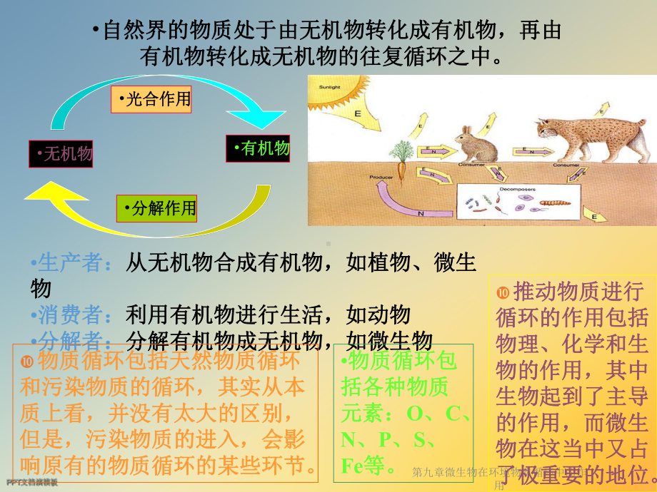 第九章微生物在环境物质循环中的作用课件.ppt_第2页