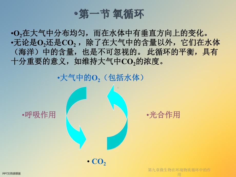 第九章微生物在环境物质循环中的作用课件.ppt_第3页