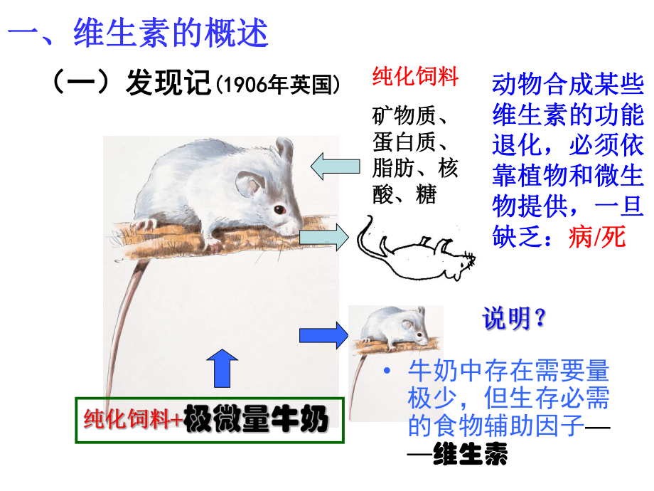 第四章维生素和辅酶选编课件.ppt_第2页