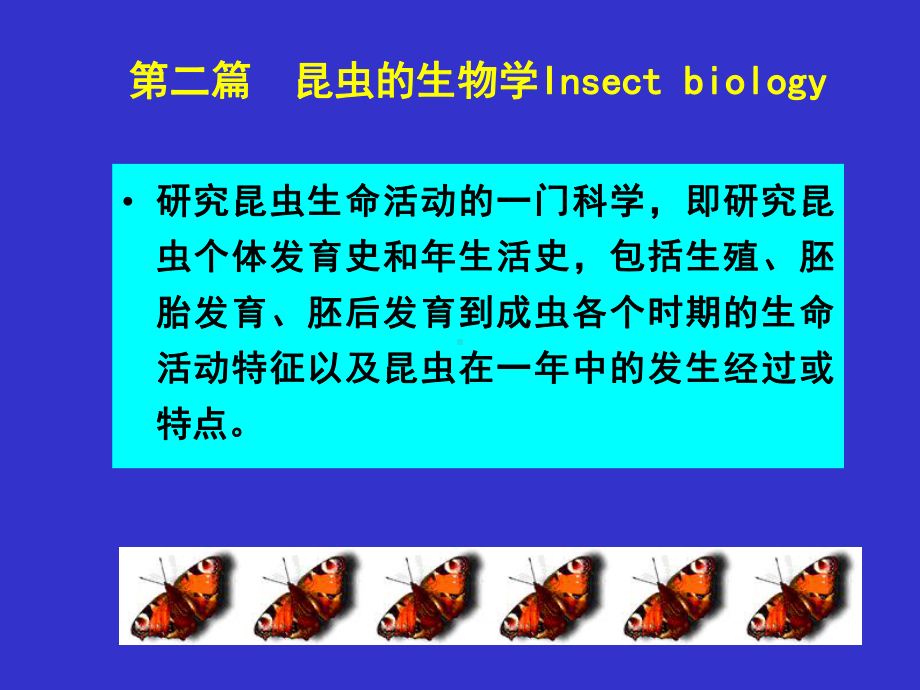 昆虫外部形态学5课件.ppt_第1页