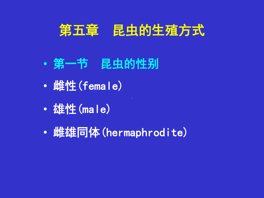 昆虫外部形态学5课件.ppt_第2页