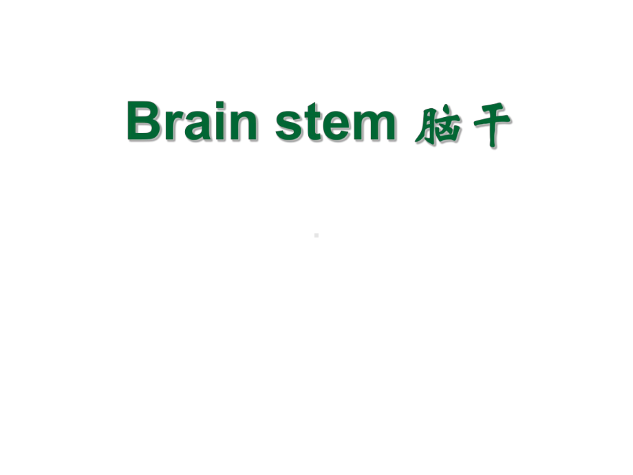 系统解剖-英文版-神经系统-脑干Brain-stem课件.ppt_第1页