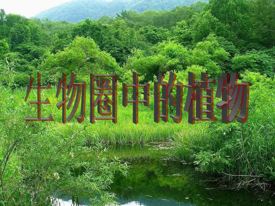 生物圈中的绿色植物(复习课件).ppt_第1页