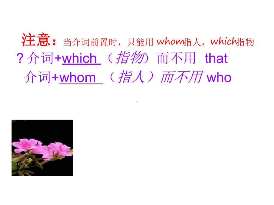 定语从句介词which介词课件.ppt_第3页