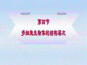 七年级生物上册-第一单元第二章第四节-多细胞生物体的结构层次课件.ppt