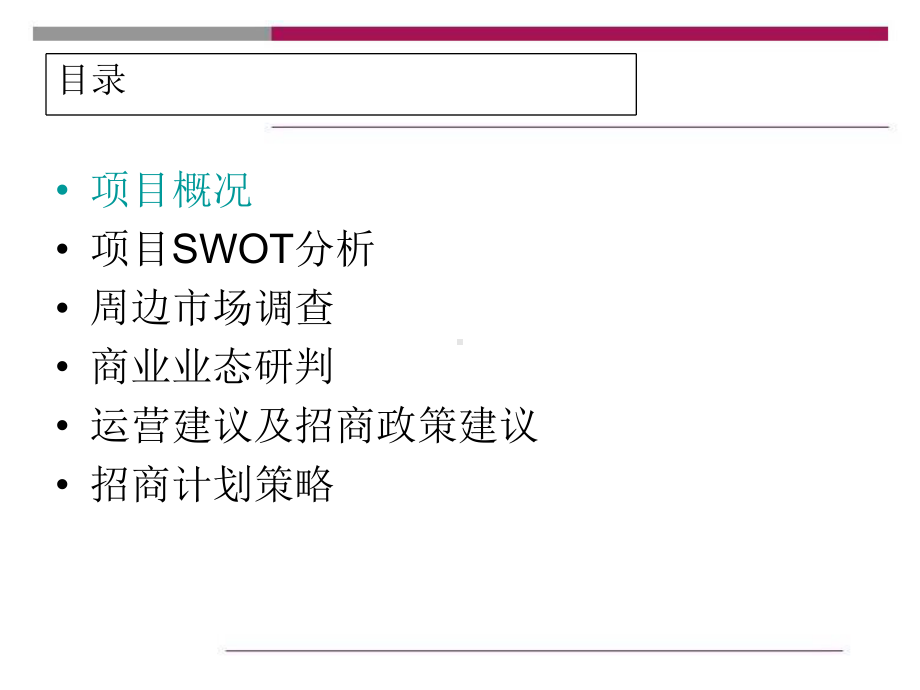 某风情商业街招商策划方案.ppt_第2页