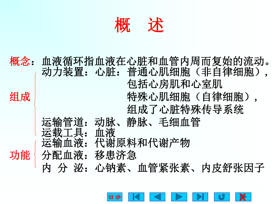 循环系统解剖及生理课件.ppt_第2页