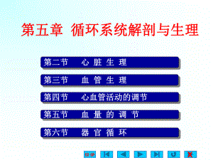 循环系统解剖及生理课件.ppt